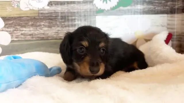 ご家族様募集してます(о´∀`о)⭐︎