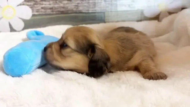 ナギちゃんbaby①