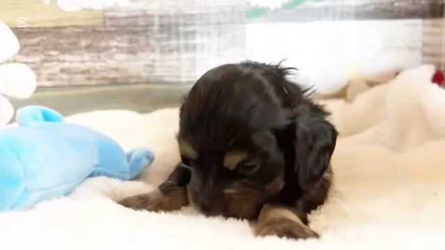 ナギちゃんbabyくん②