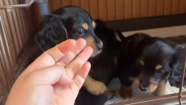 まだまだ募集中でーす♪( ´θ｀)ノ