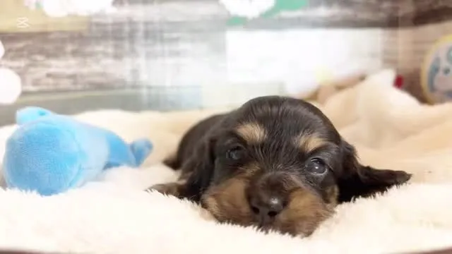 まだまだまだまだ募集中ですU・x・U