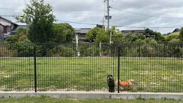 楽しいな！楽しいな！