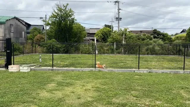 今日もすみっこです(・ω・)ノ