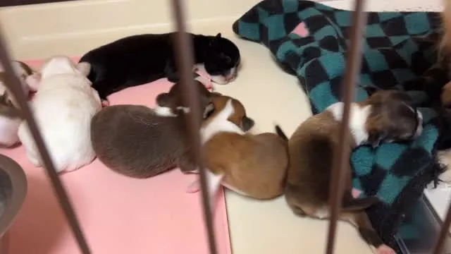 元気にすくすく♪( ´θ｀)ノ⭐︎