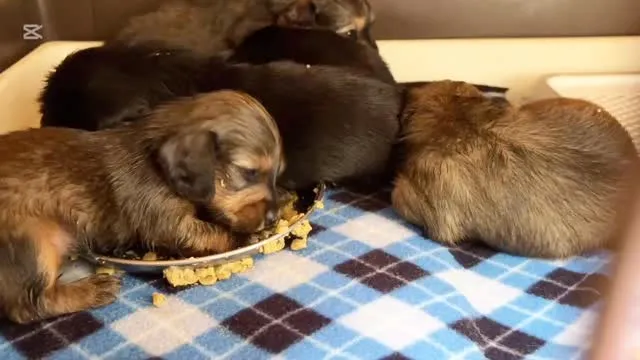 いつの間にやらやらやらら(´⊙ω⊙`)