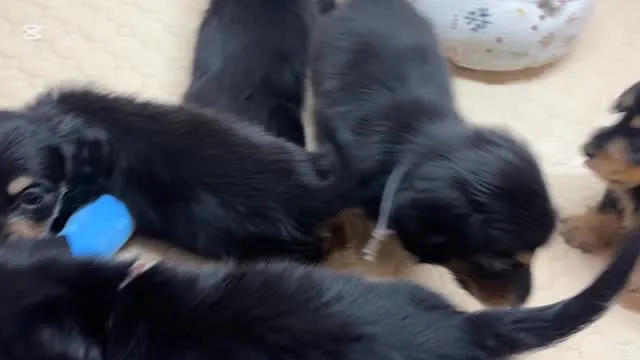 元気いっぱい5兄妹⭐︎