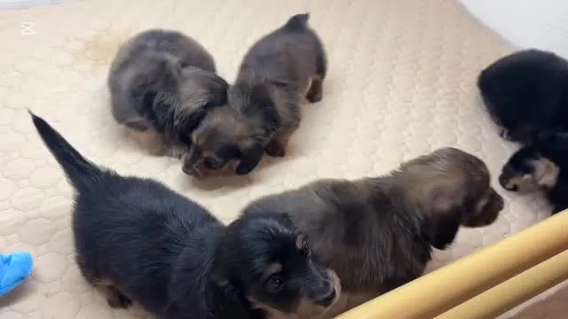 まだまだ募集してまーす╰(*´︶`*)╯♡