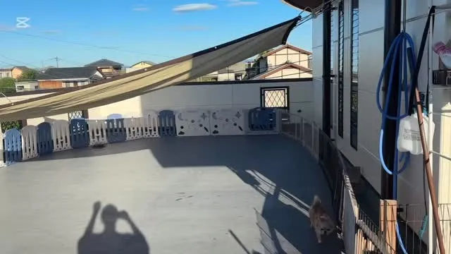 今朝は涼しかったね⭐︎