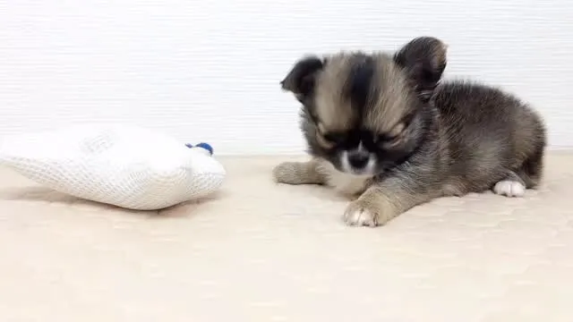 まだまだ募集してまーす(о´∀`о)