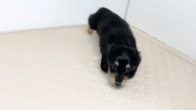 まだまだ募集中ですU・x・U