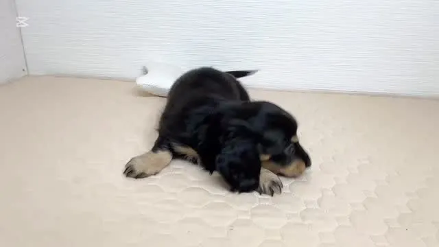 まだまだ募集中です②U・x・U