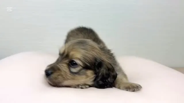 まだまだ募集中ですU・x・U♡