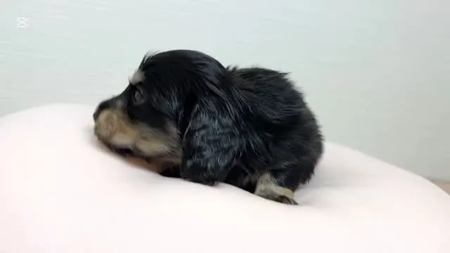 筑後市るぴなすがまだまだご家族様募集中です♡