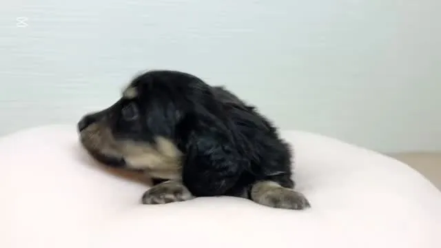 まだまだ筑後市るぴなすがご家族様募集してます♪