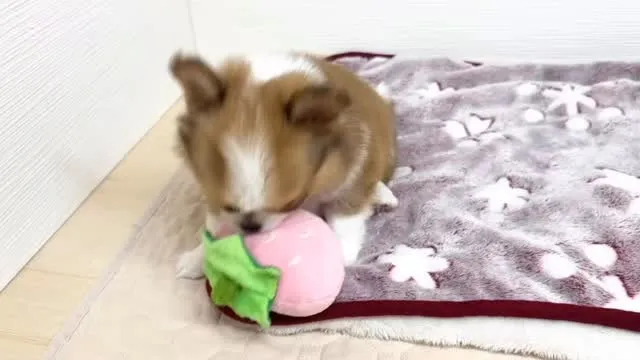 とっても元気！！