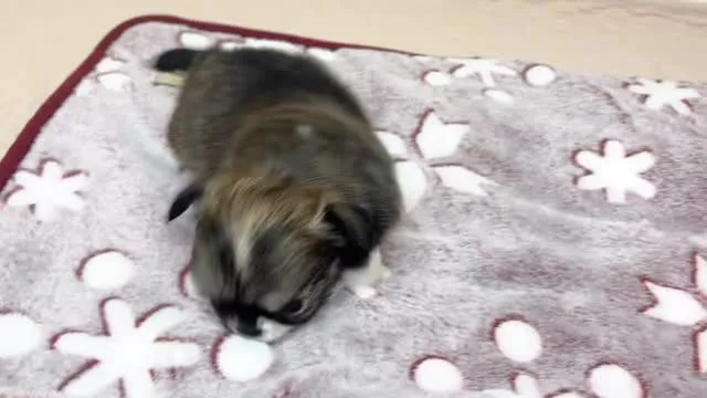 まだまだ筑後市るぴなすがご家族様募集中です╰(*´︶`*)╯...