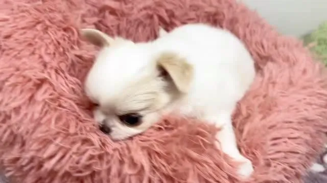 お問い合わせはお早めに！m(_ _)m