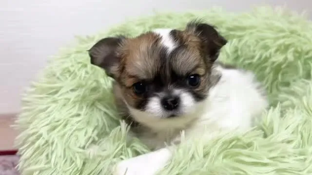 まもなく募集締め切りになります(>_<)