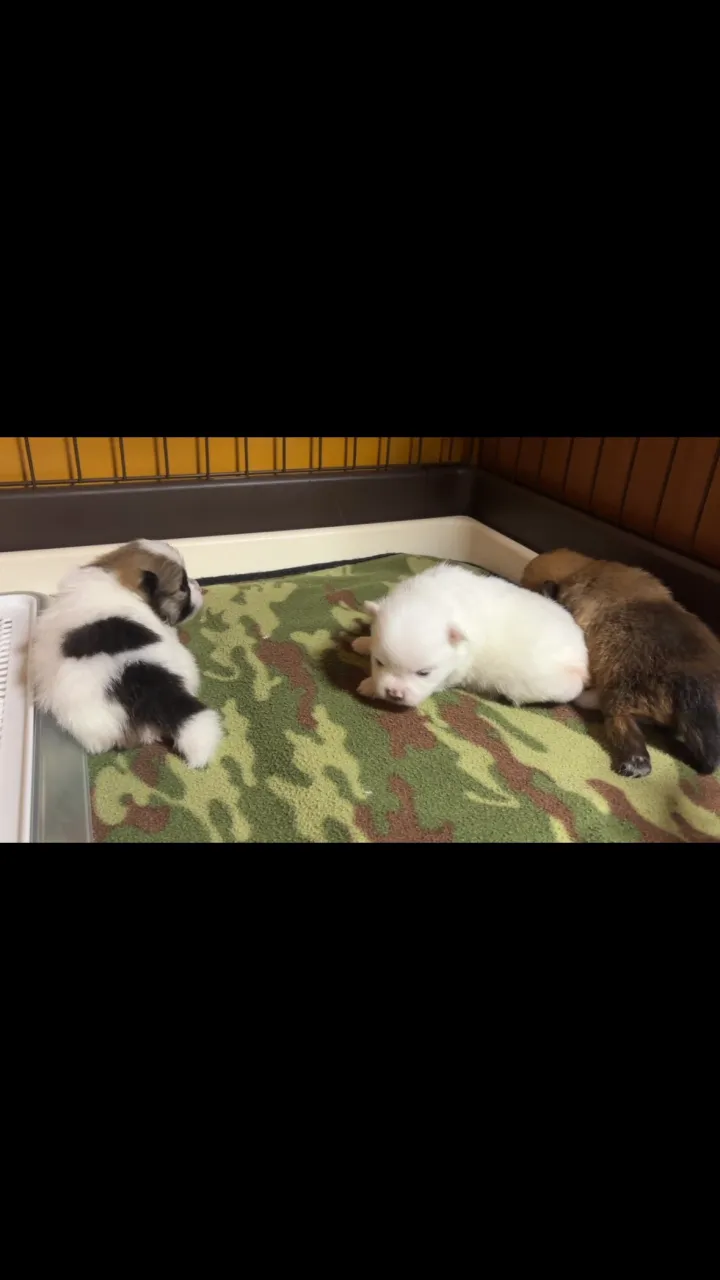 今日も元気によちよち♡